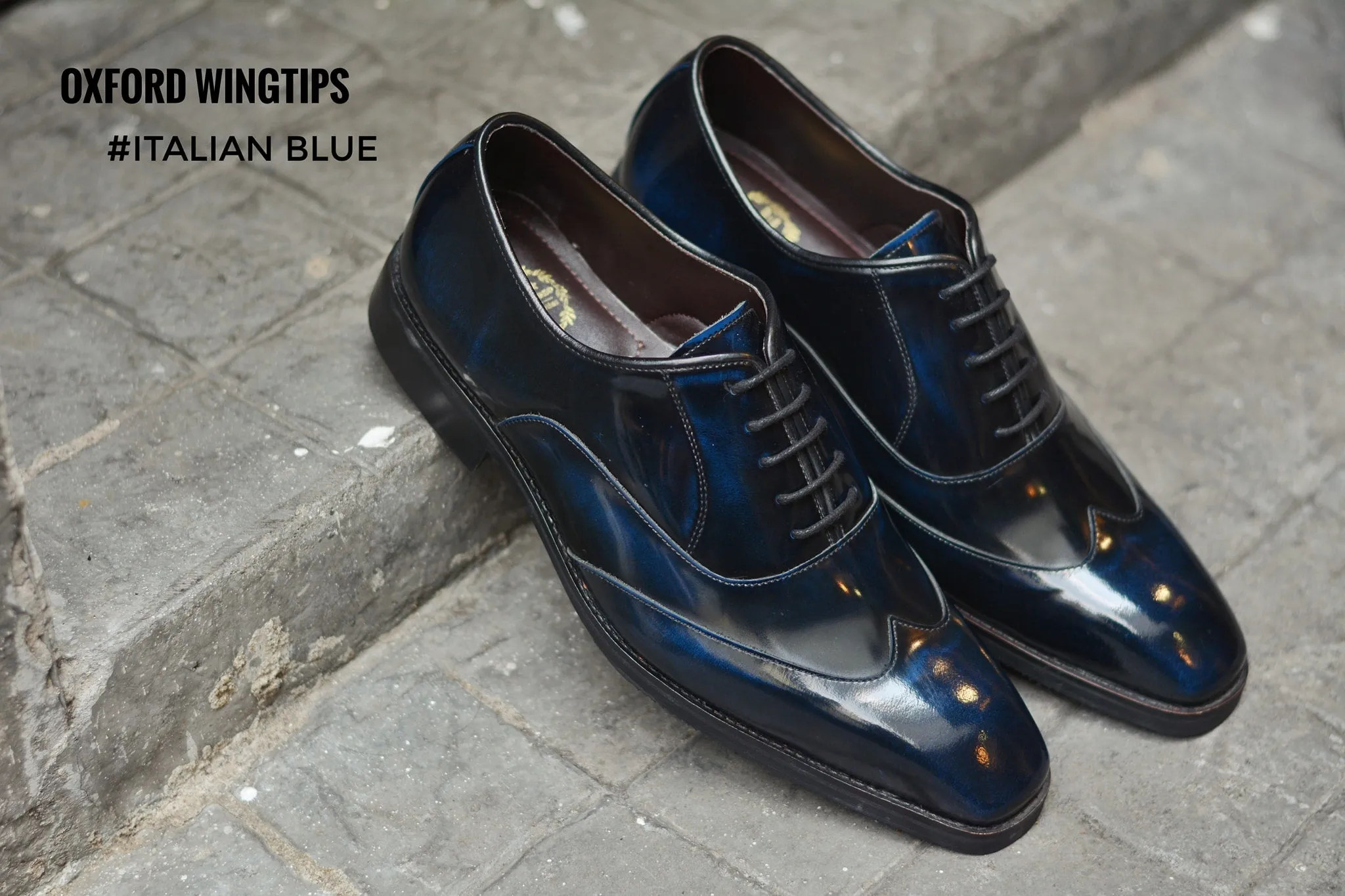 502-1 New Oxford Shoe Wingtip Italian Blue - Buy Online Now on [Website Name]