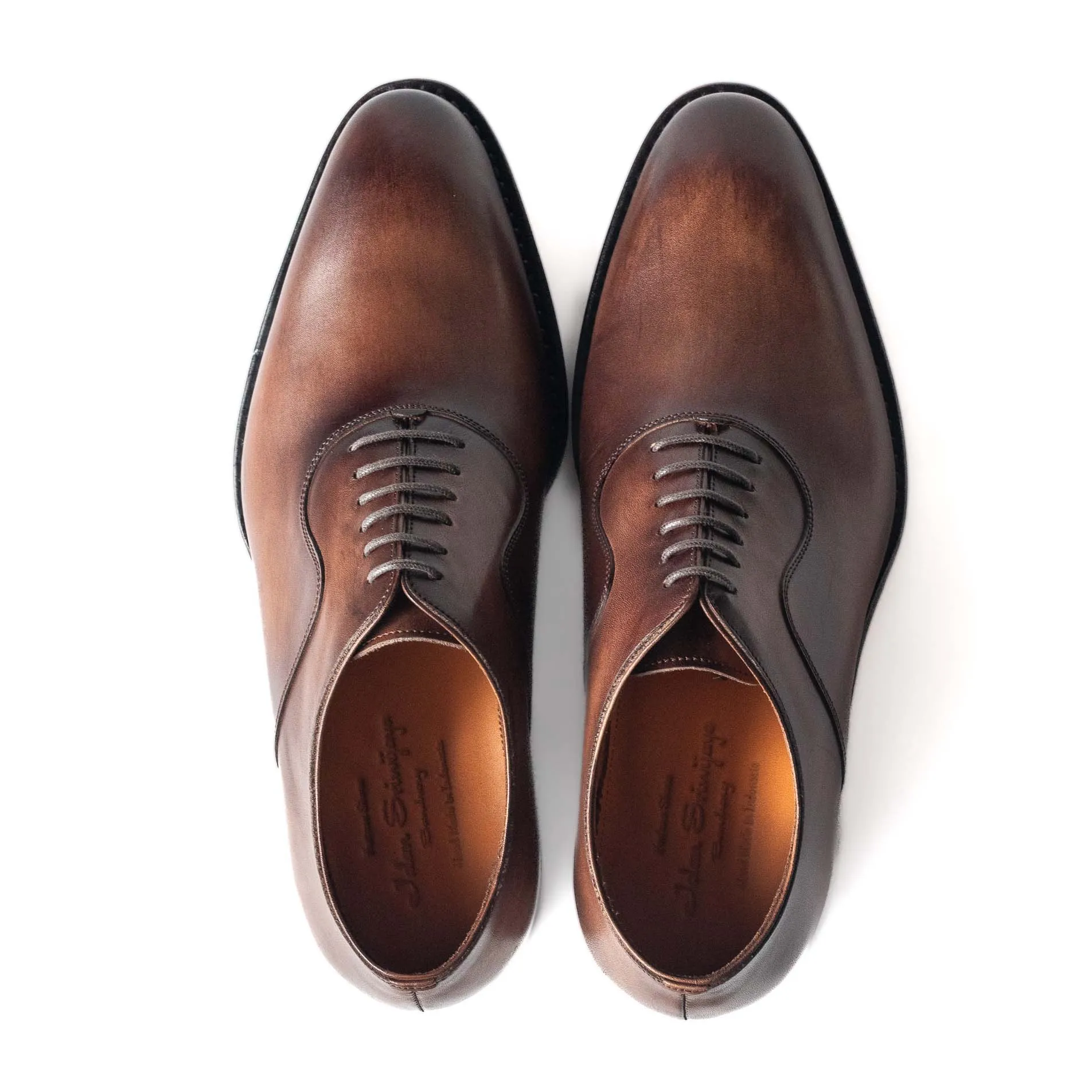 Classic Oxford shoes in TDM Vegano Crust for men - 98475