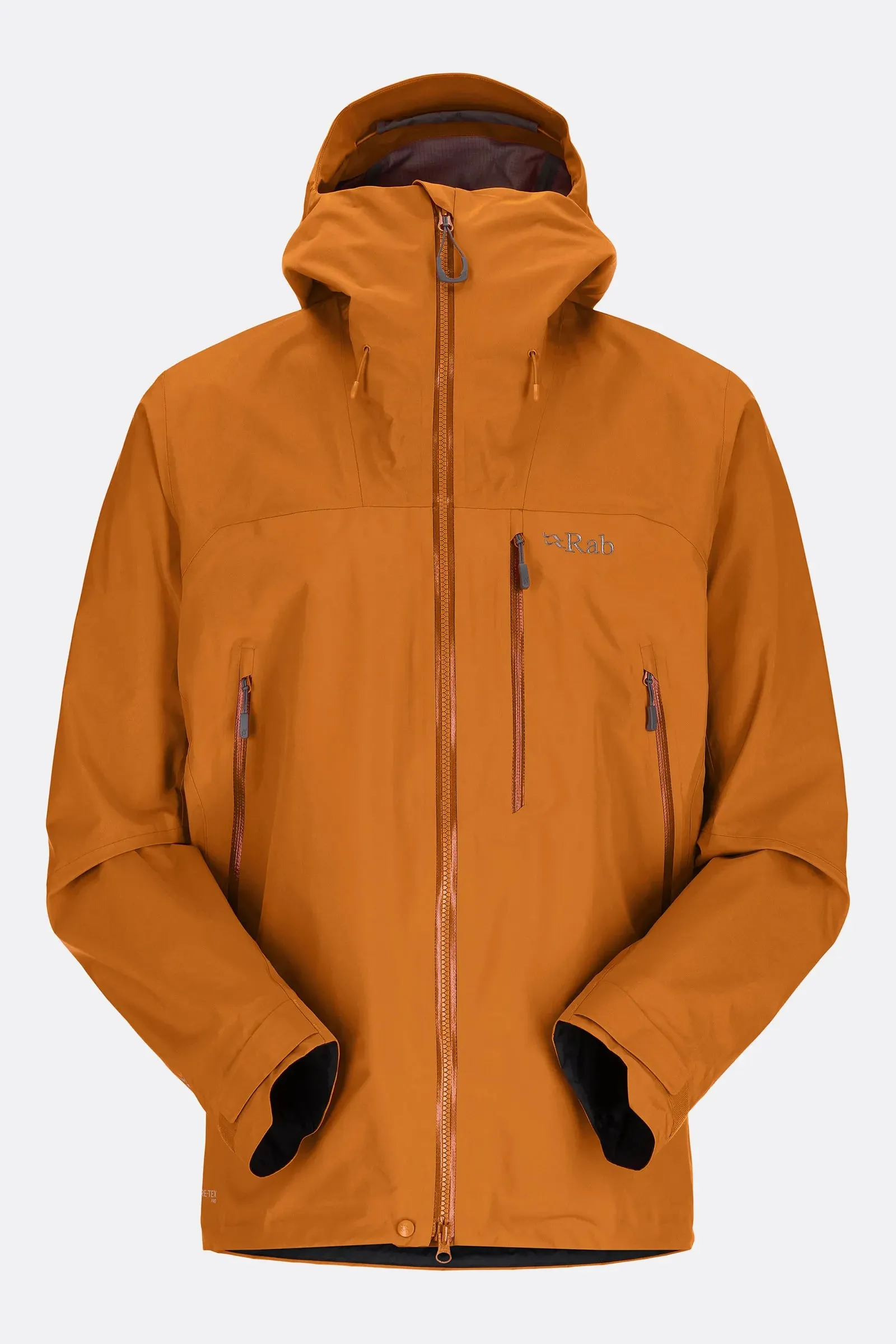 Latok Mountain GTX Jacket (Men's)