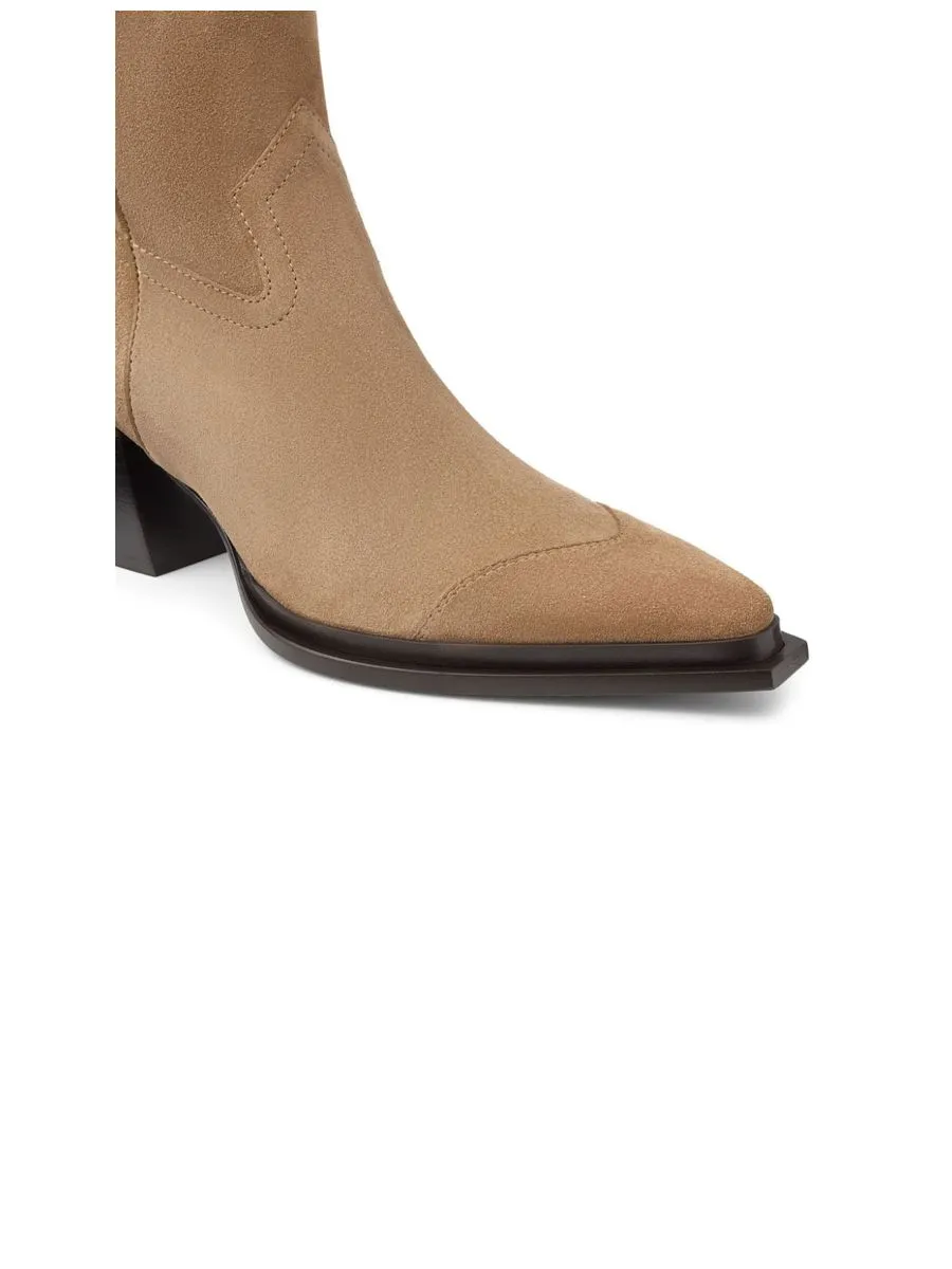 Suede Pointed Toe Boots