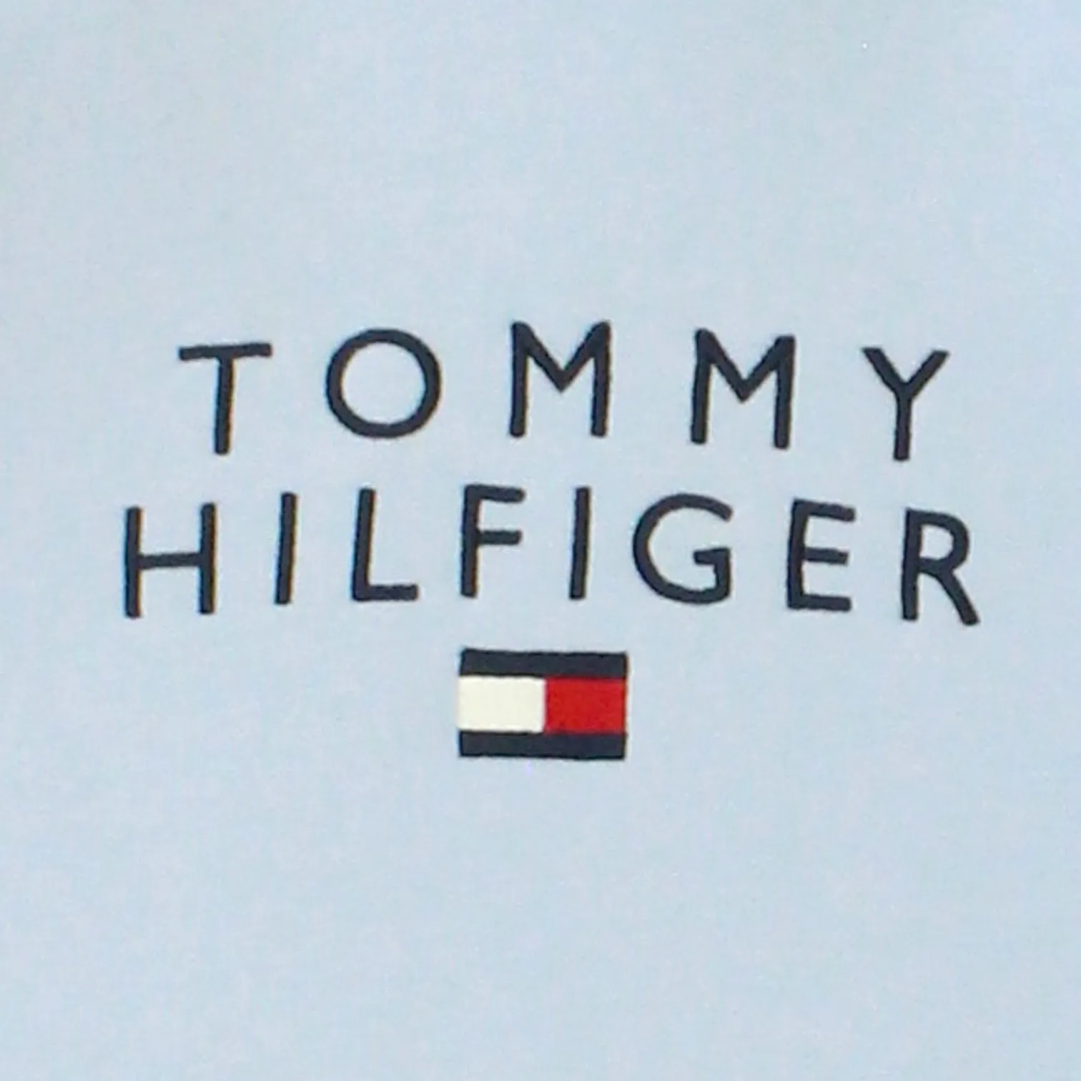 Tommy Hilfiger Sky Blue Hoodie